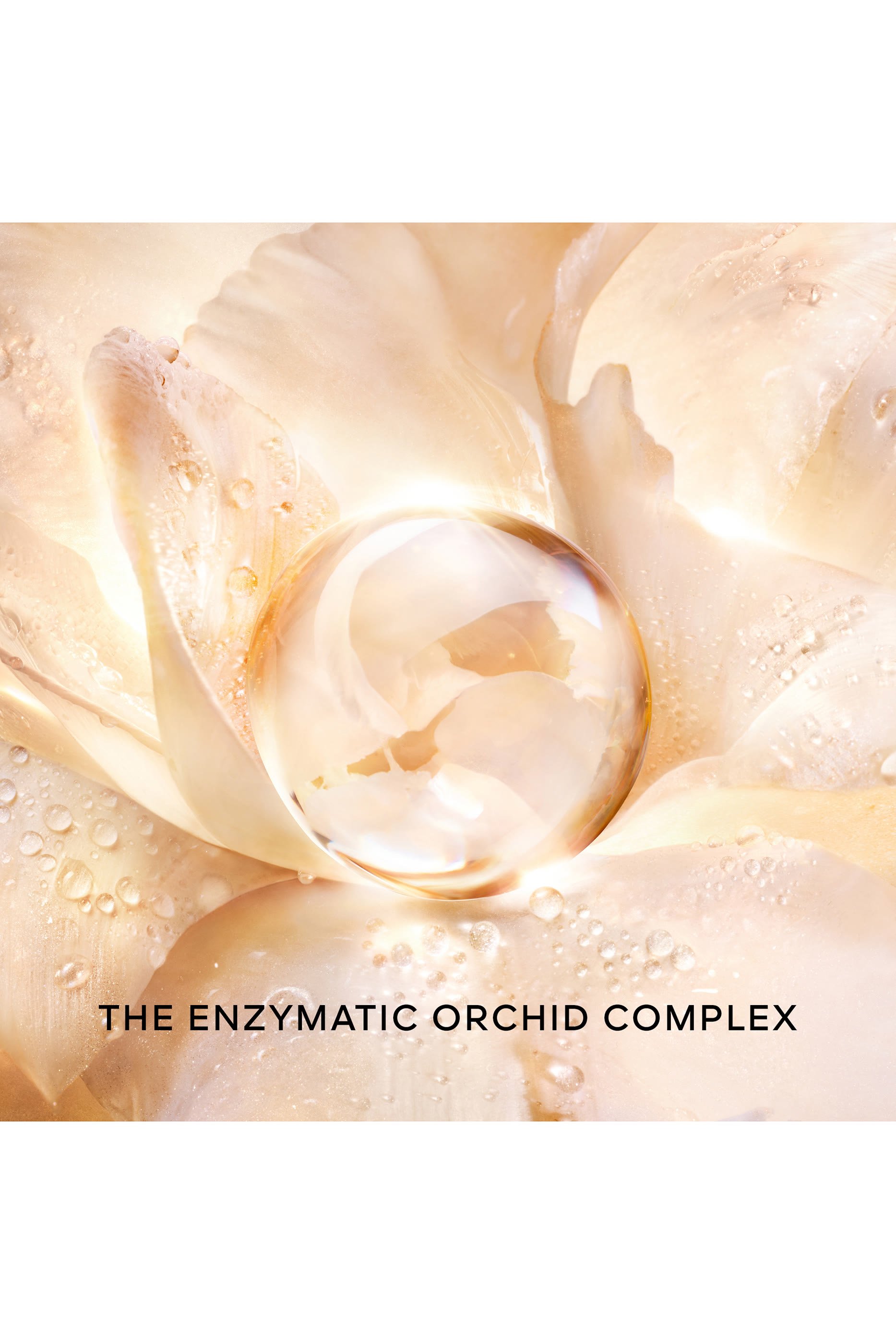 لوشن أوركيدي أمبريال غولد نوبيل ذا غولد إيسنس