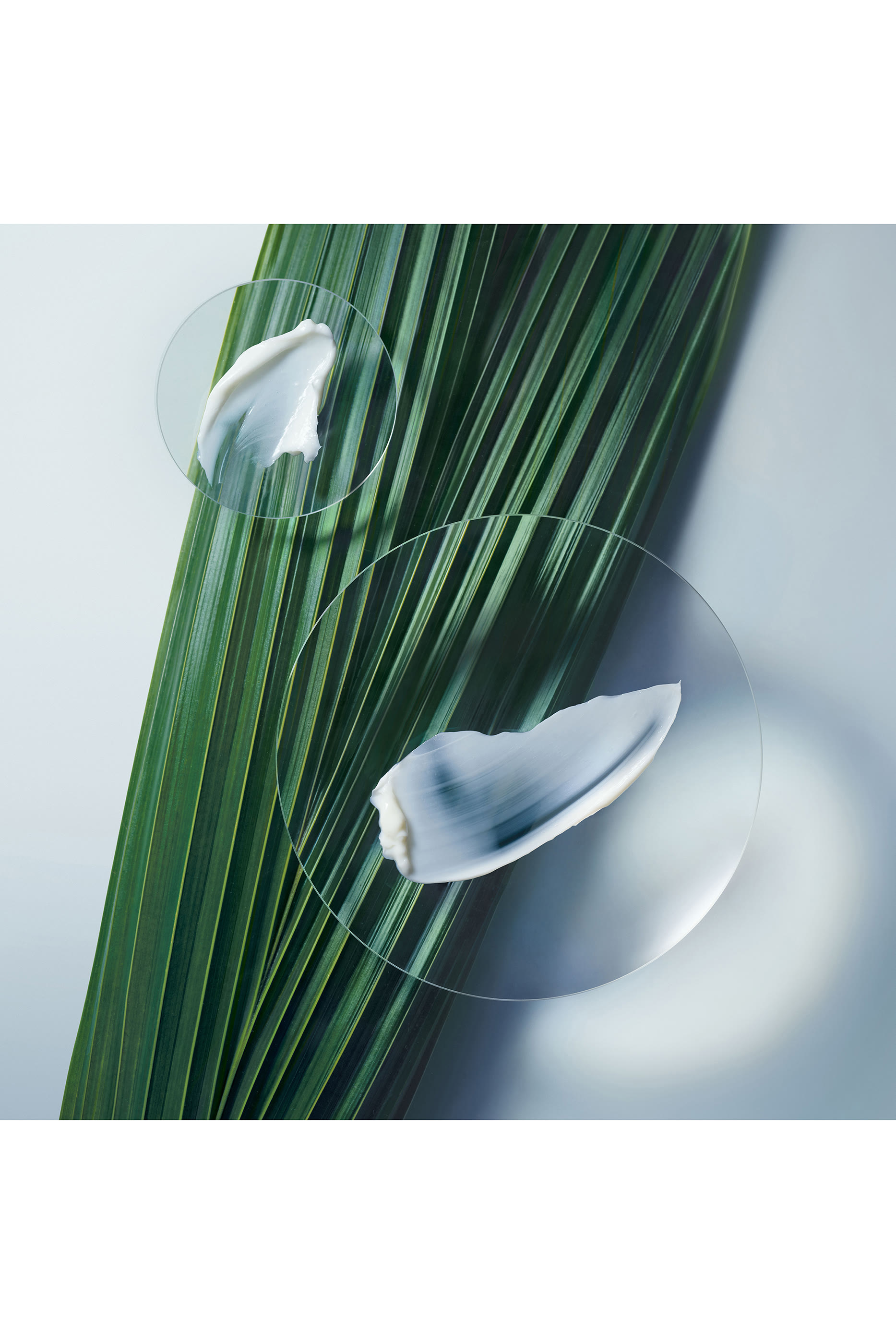 قناع بوتانيكال ريبير مكثف لتقوية الشعر - غني