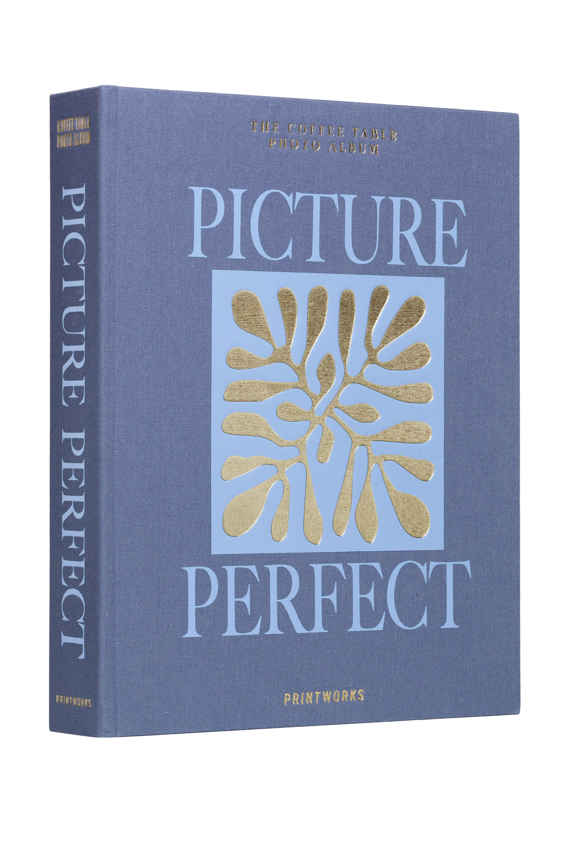 Picture Perfect Photo Album