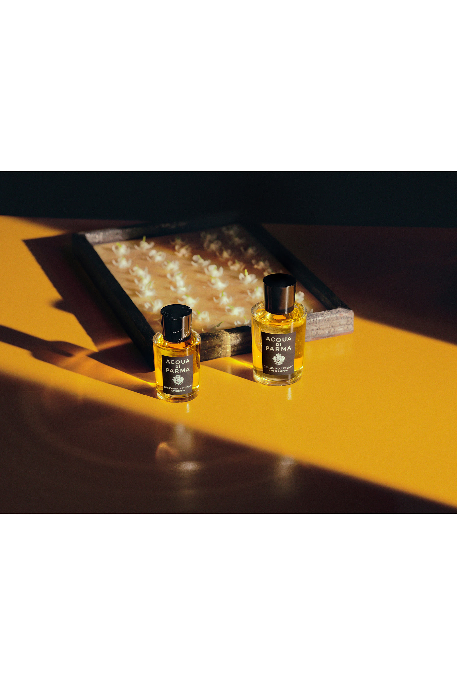 أو دو بارفان جيلسومينو ايه فريدو