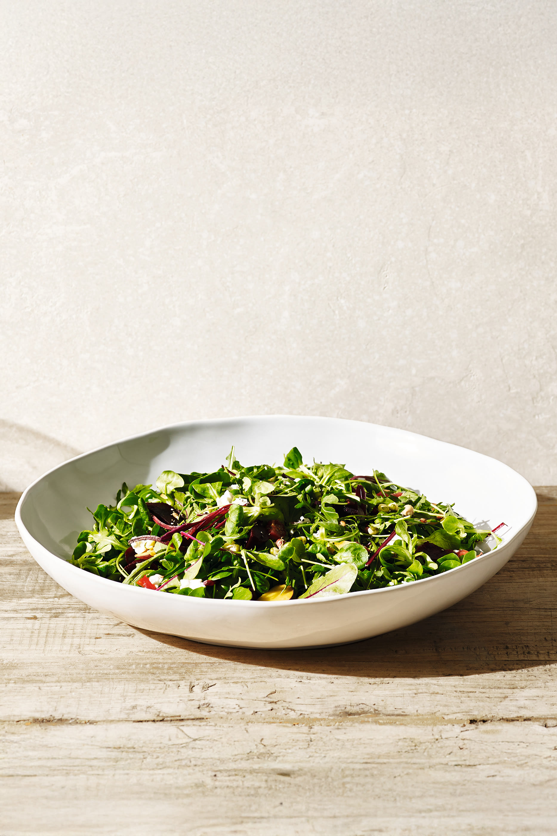 وعاء تقديم بورتوبيللو منخفض