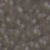 رمادي غامق