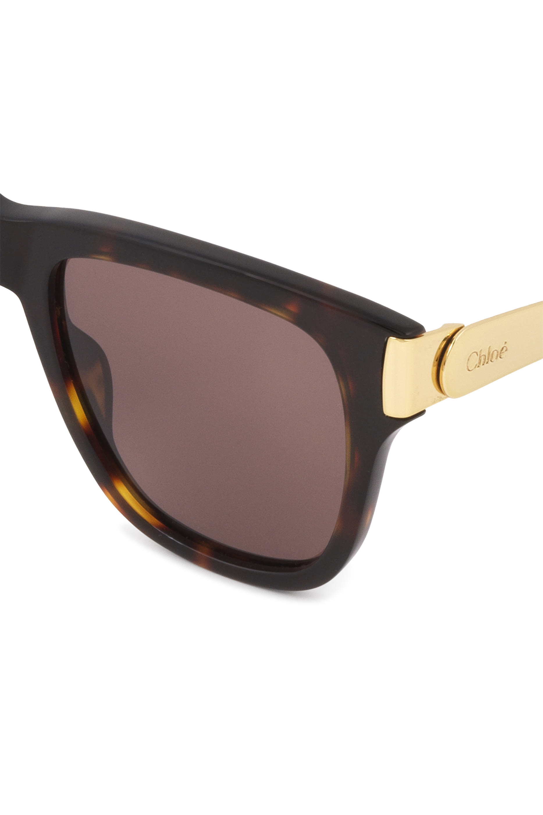 نظارة هولي شمسية