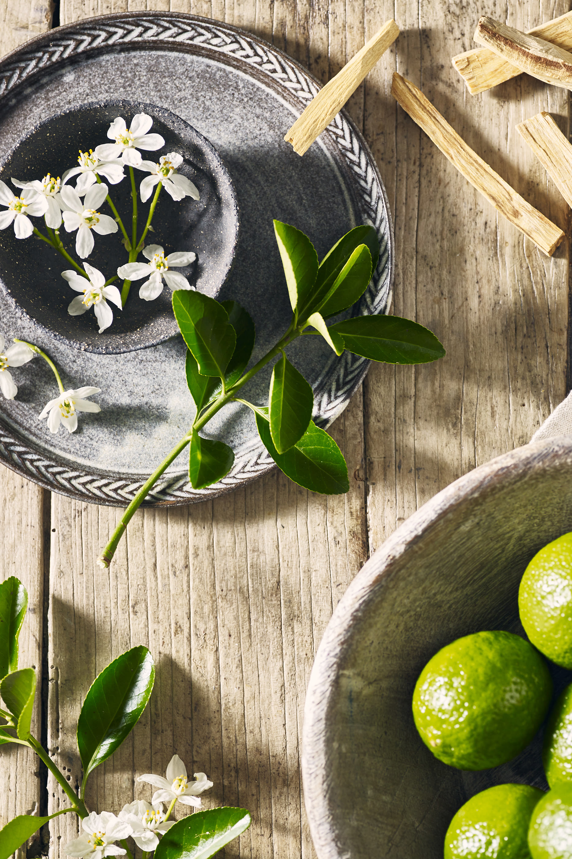 شمعة برغموت اند سيدار بشعار الماركة