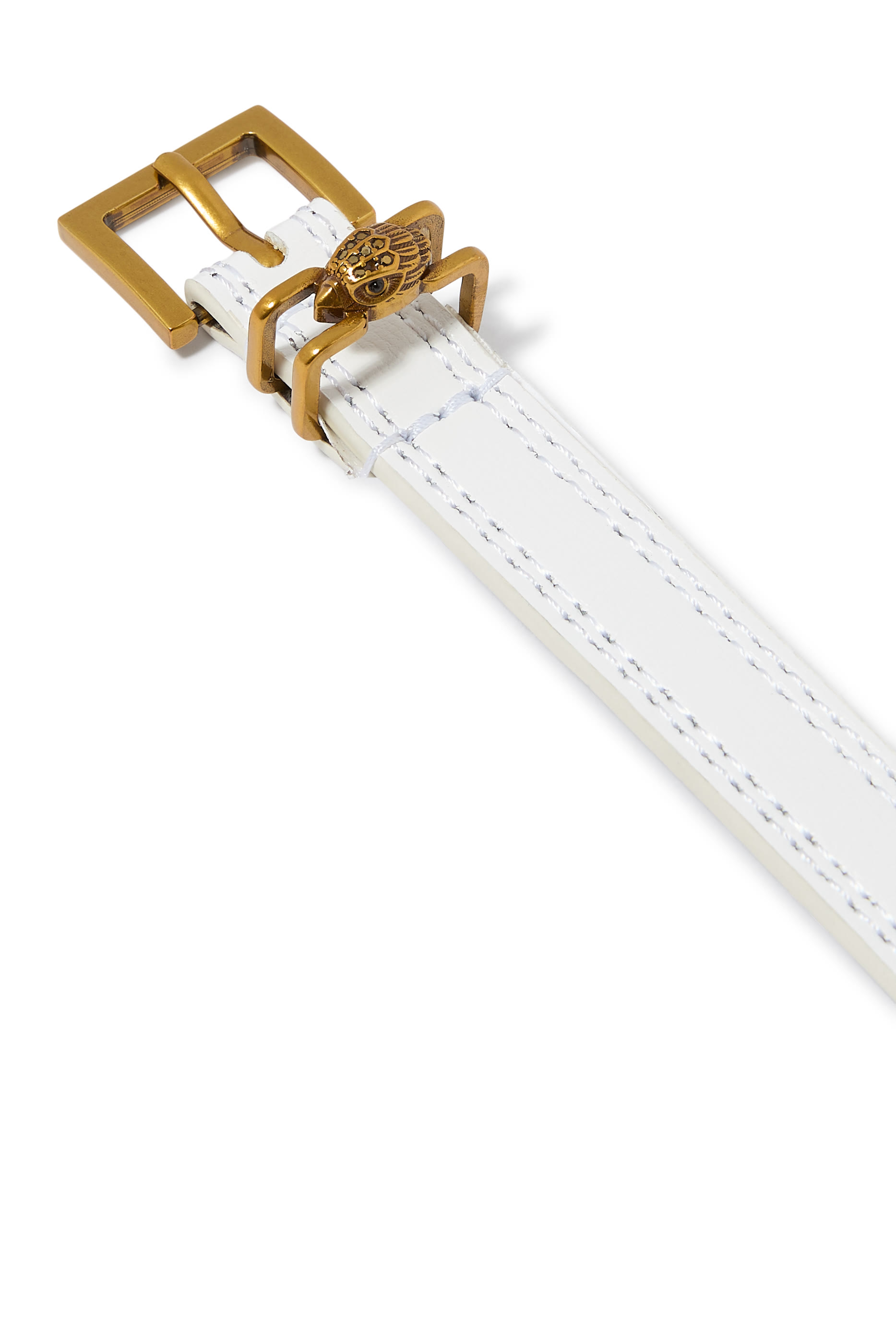 حزام شروديتش جلد