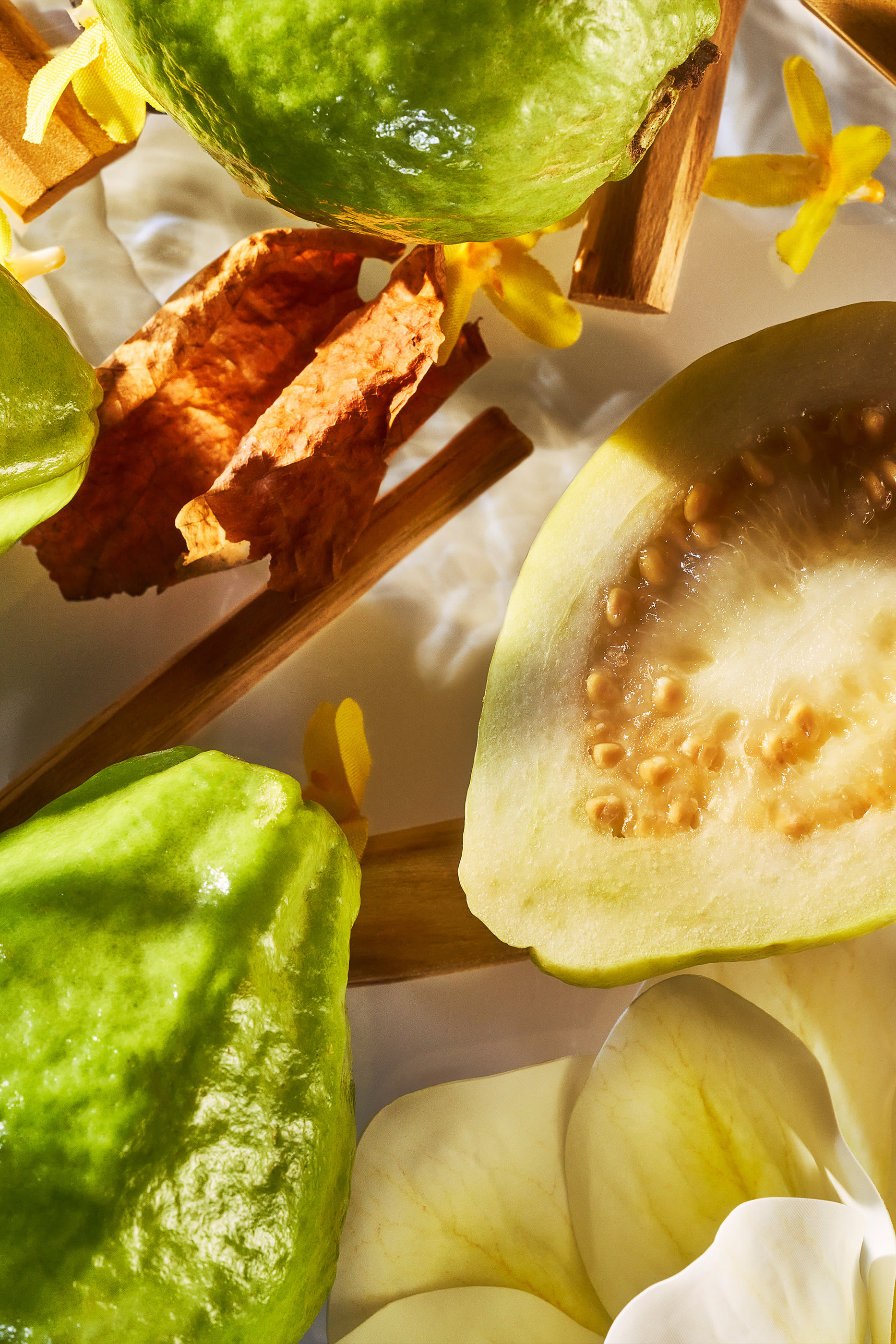 عطر إيزولا فيردي