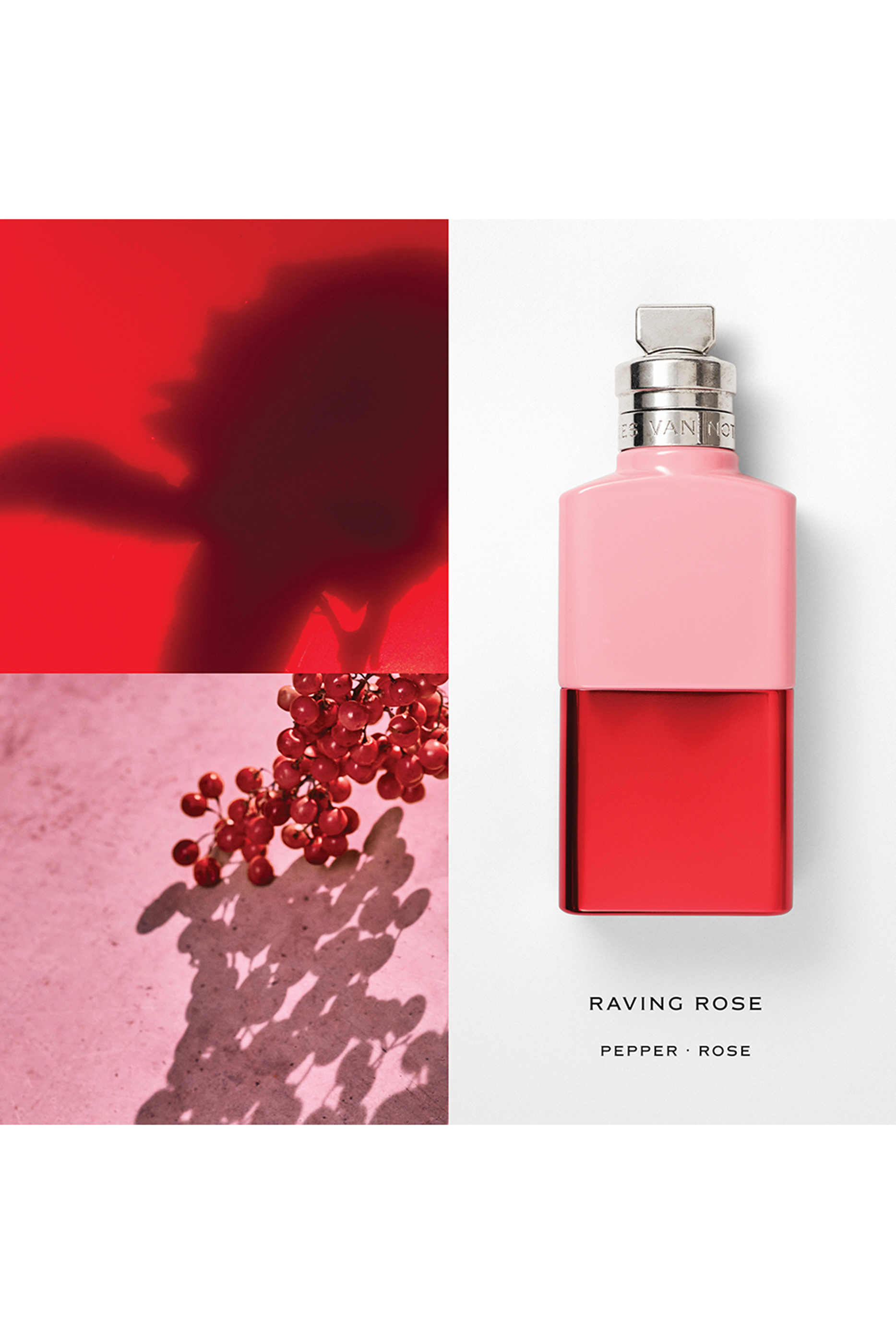 أو دو بارفان رايفينج روز