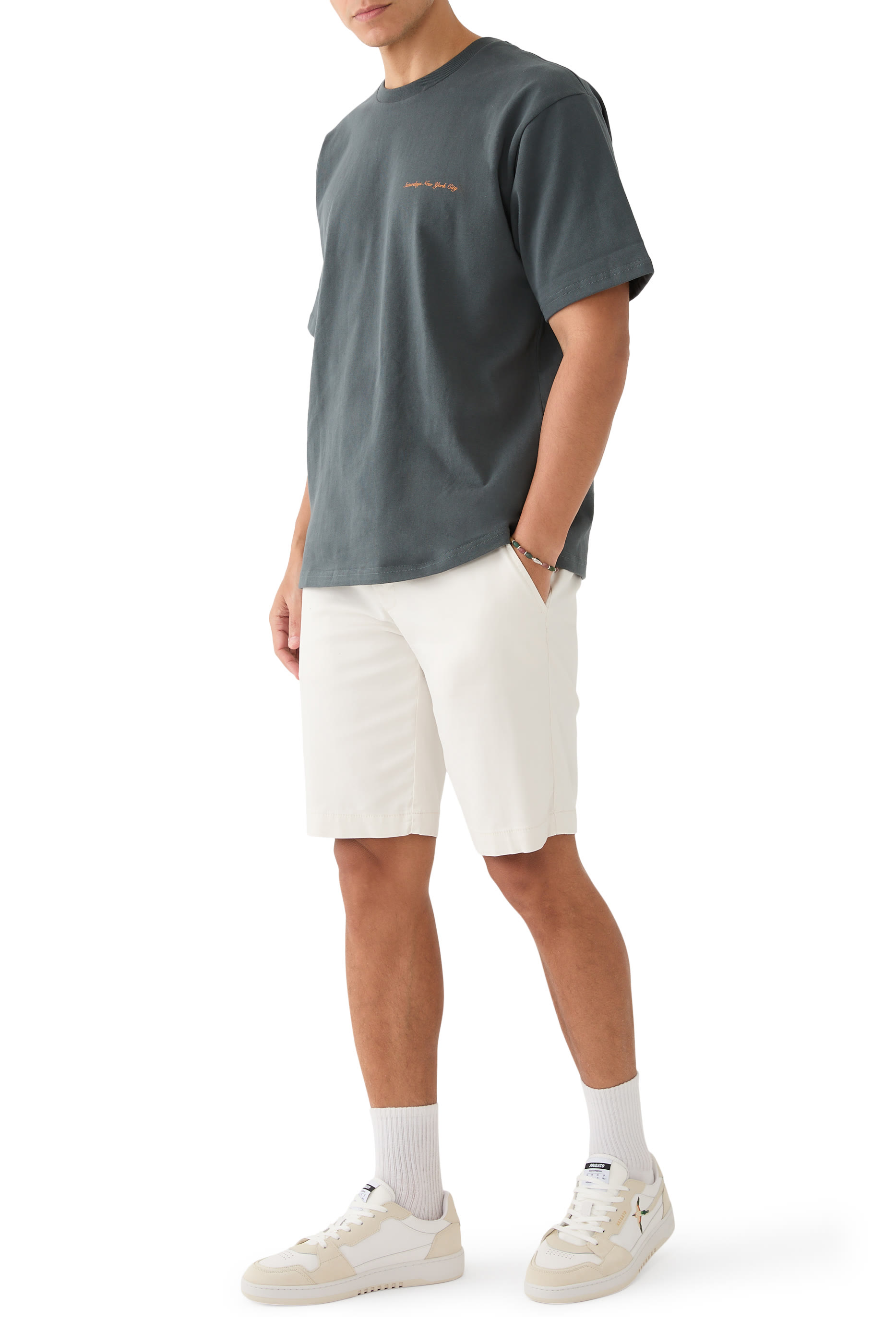 سنيكرز دايس لو مزين بطائر آكل النحل