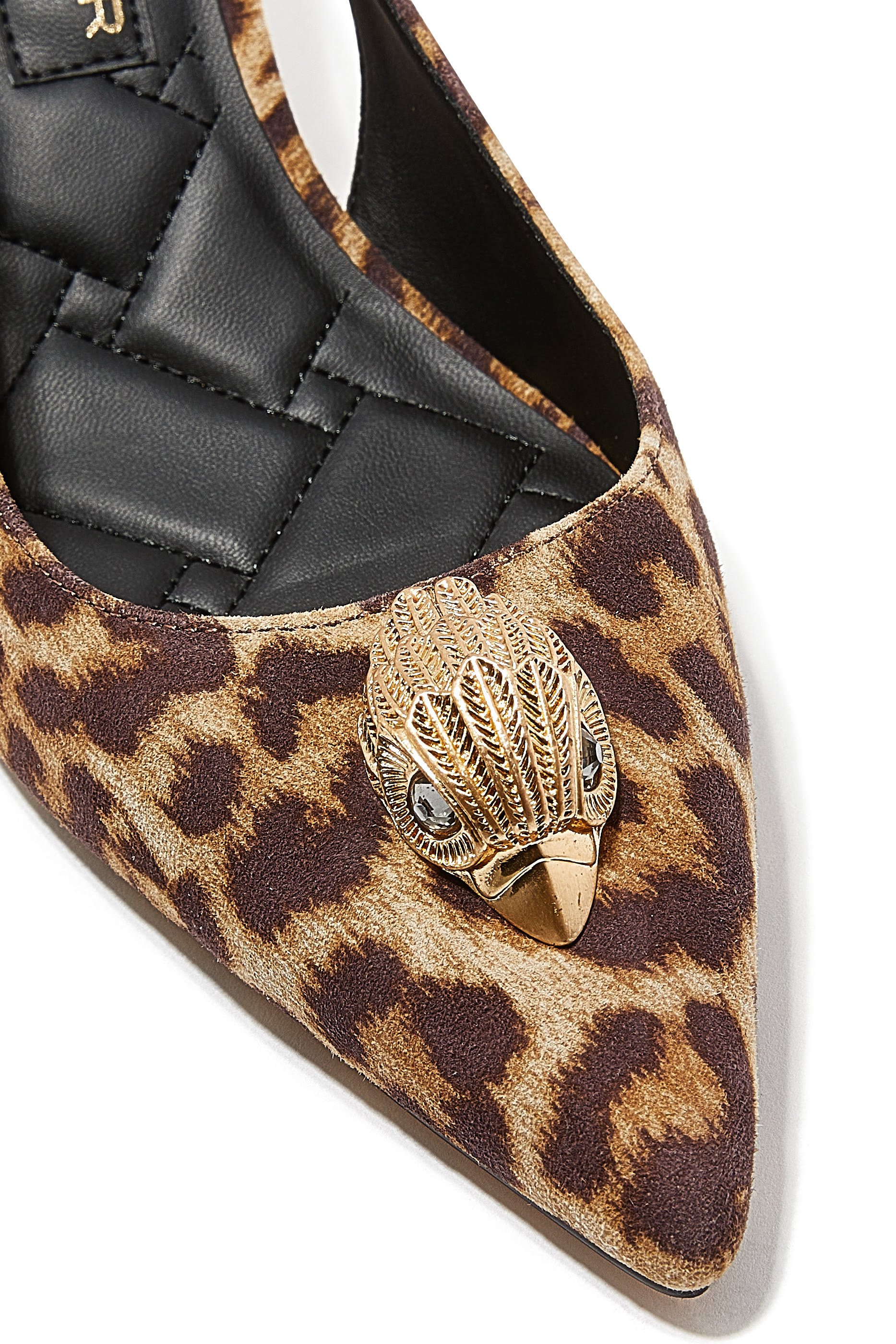 حذاء بيلغرافيا كلاسيكي 60 بسير خلف