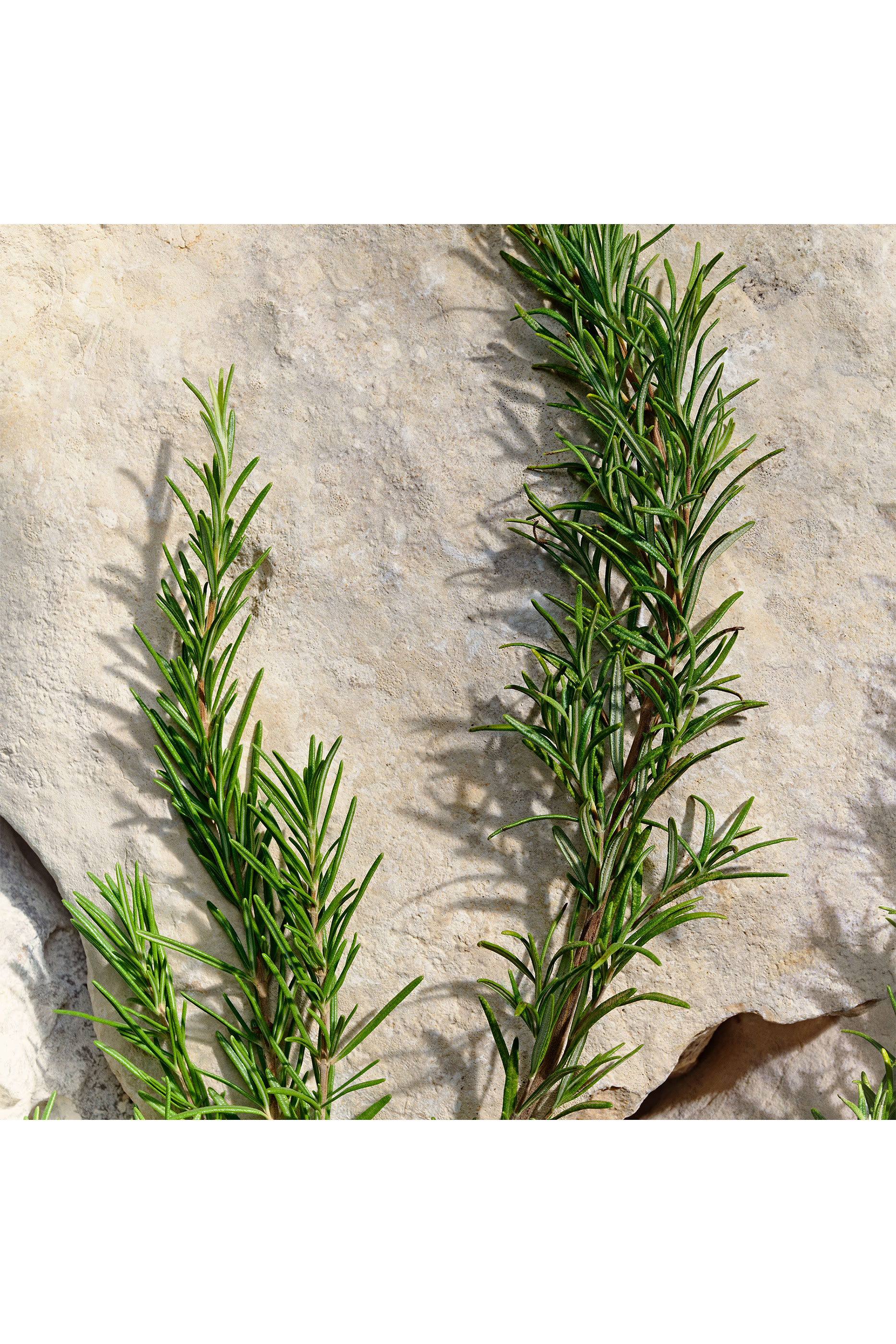 أو دو تواليت لايت بلو للرجال