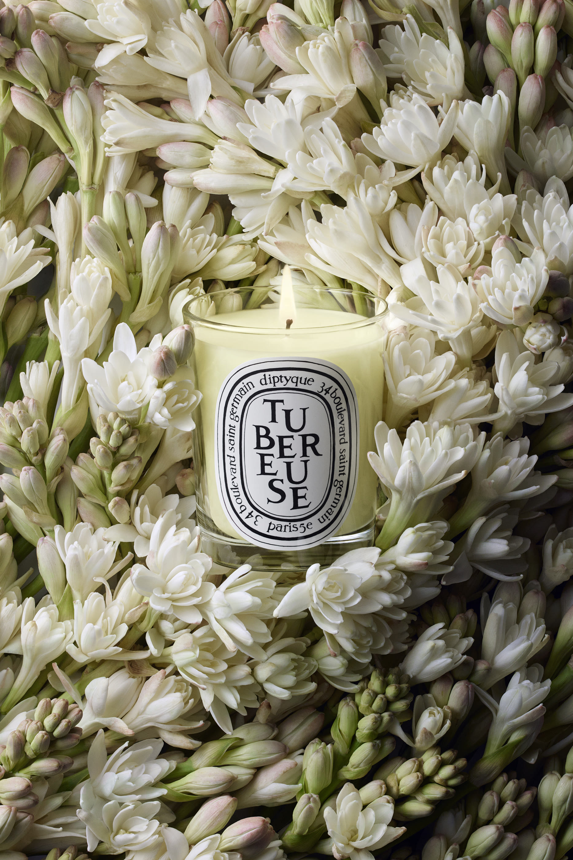 شمعة توبروز 