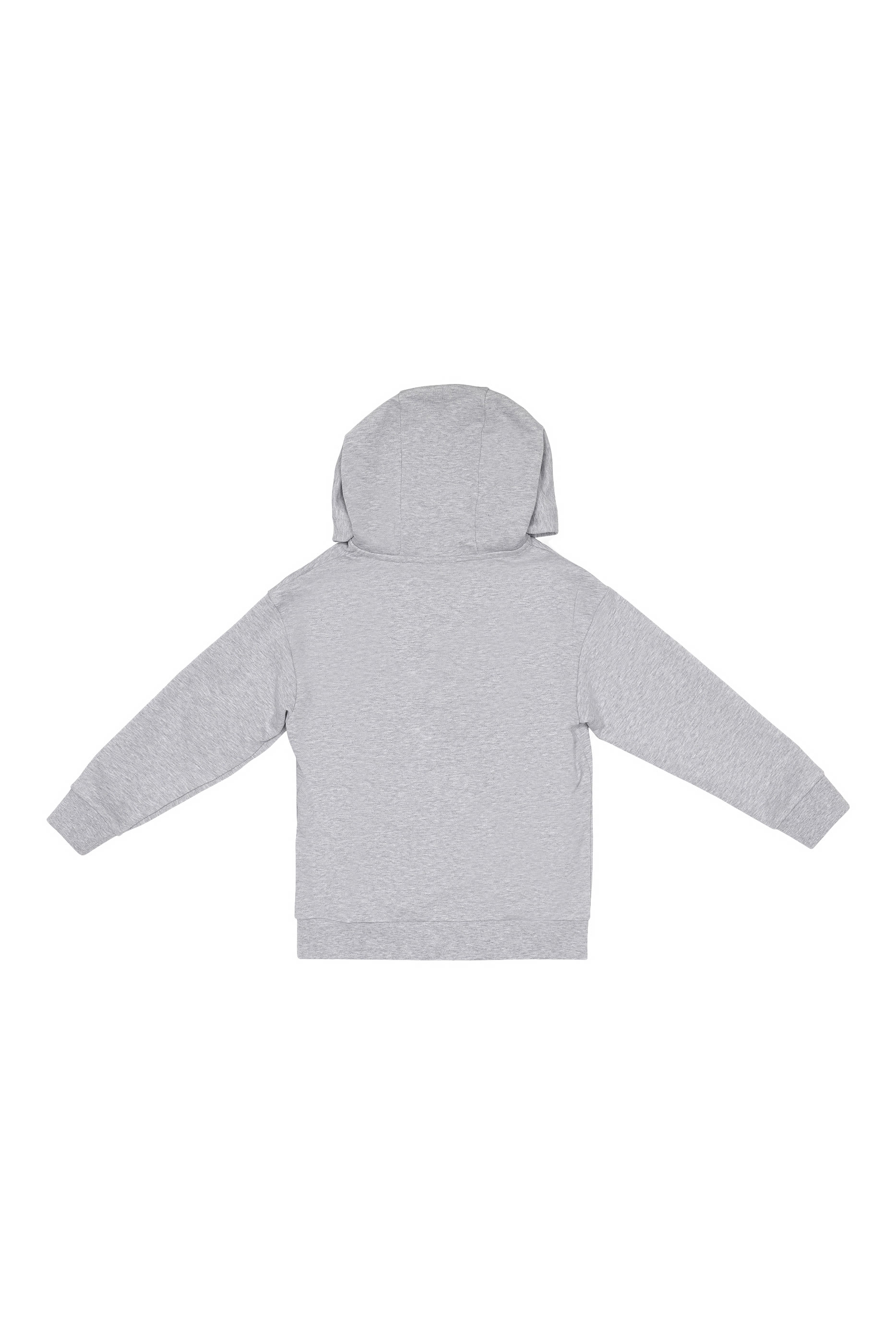 هودي بطبعات الدب تيدي