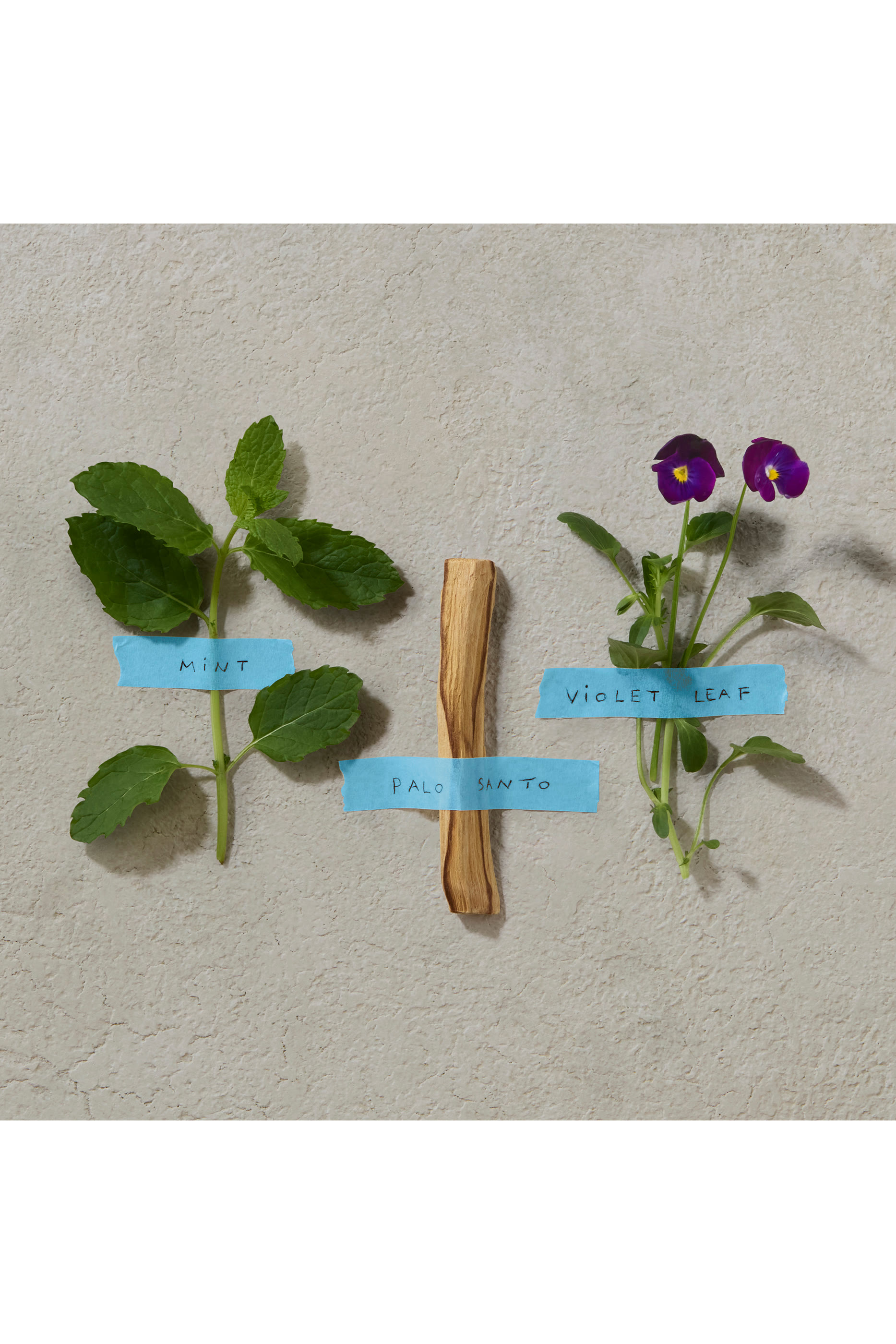 أو دو بارفان بولد بليند