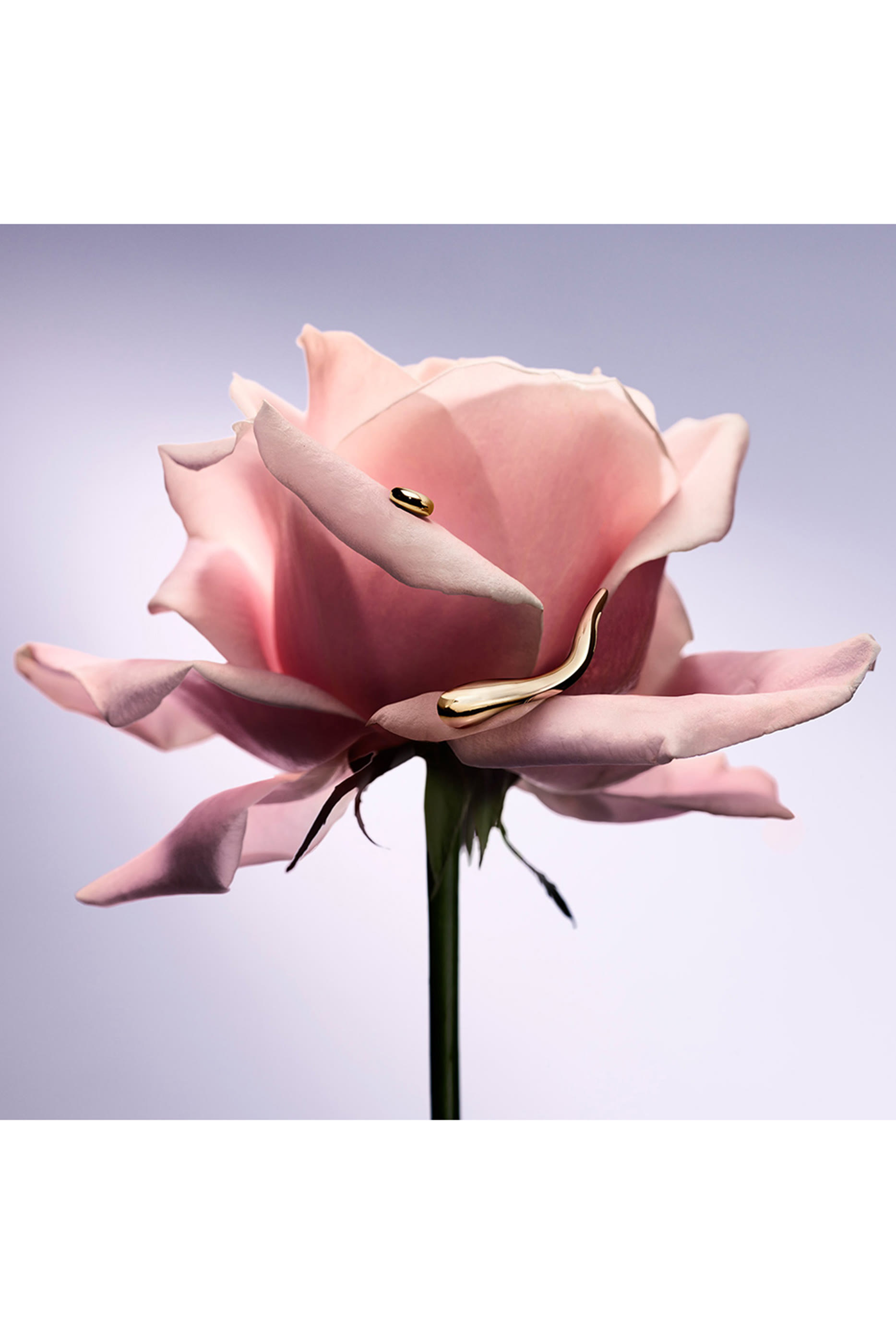 أو دو بارفان مركز لا في إي بيل جولد