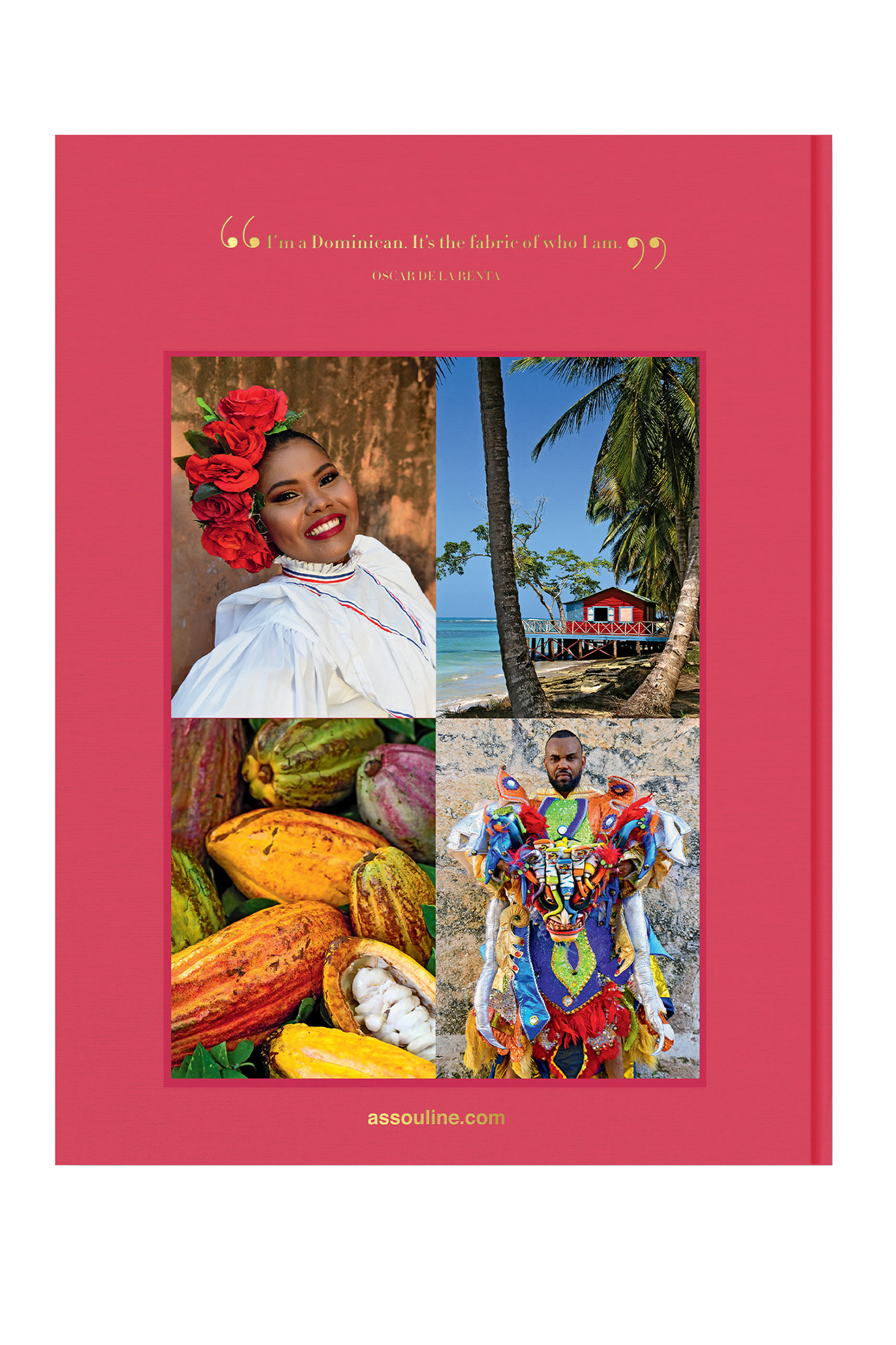 كتاب سانتو دومينجو