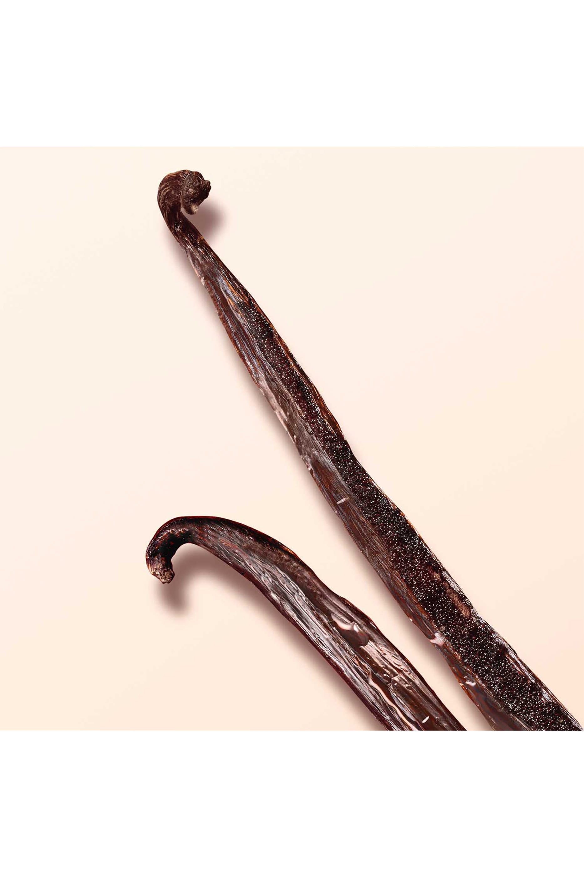 أو دو بارفان سي نود بلوم