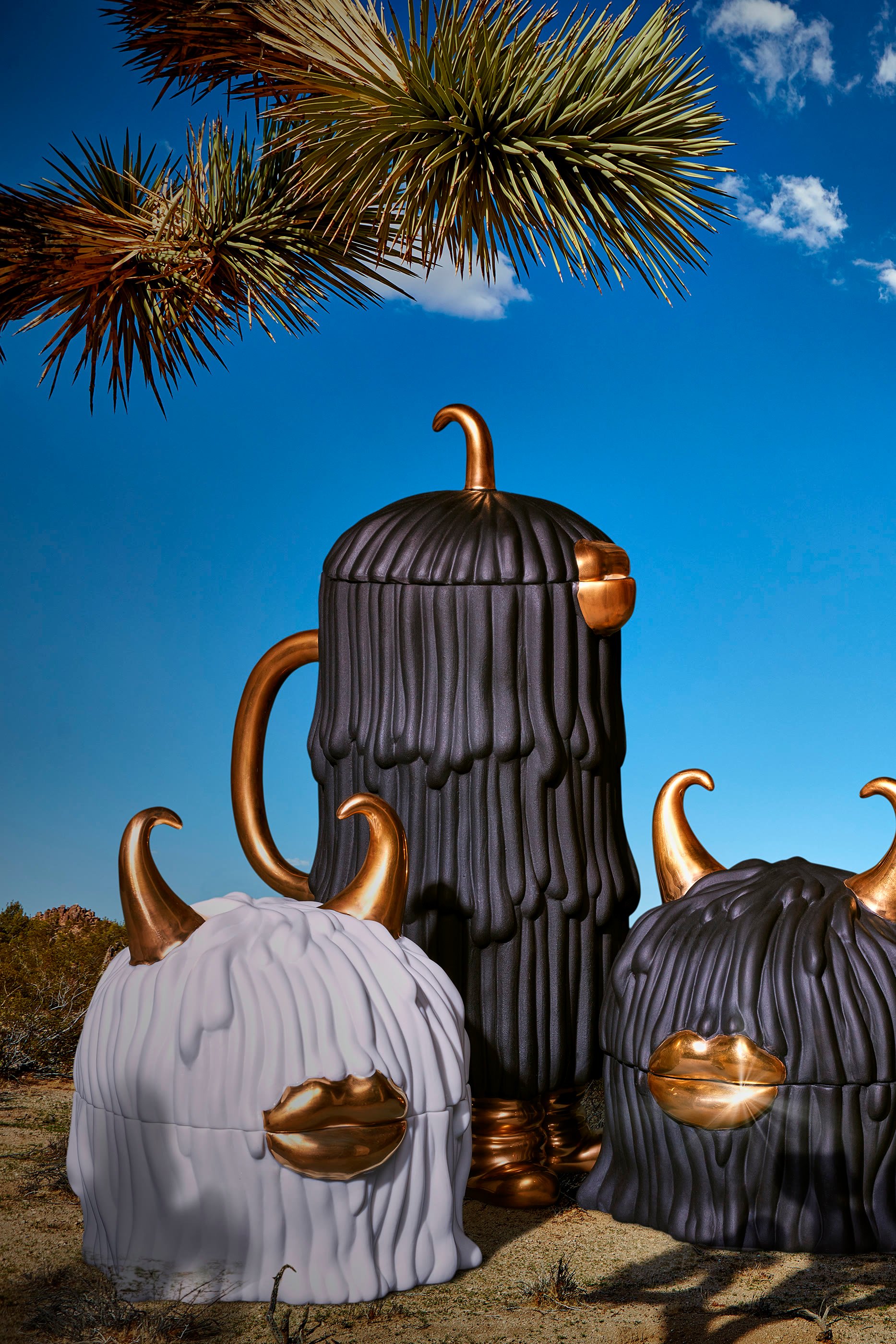 طقم أطباق وصندوق هاس ليندا، 4 قطع