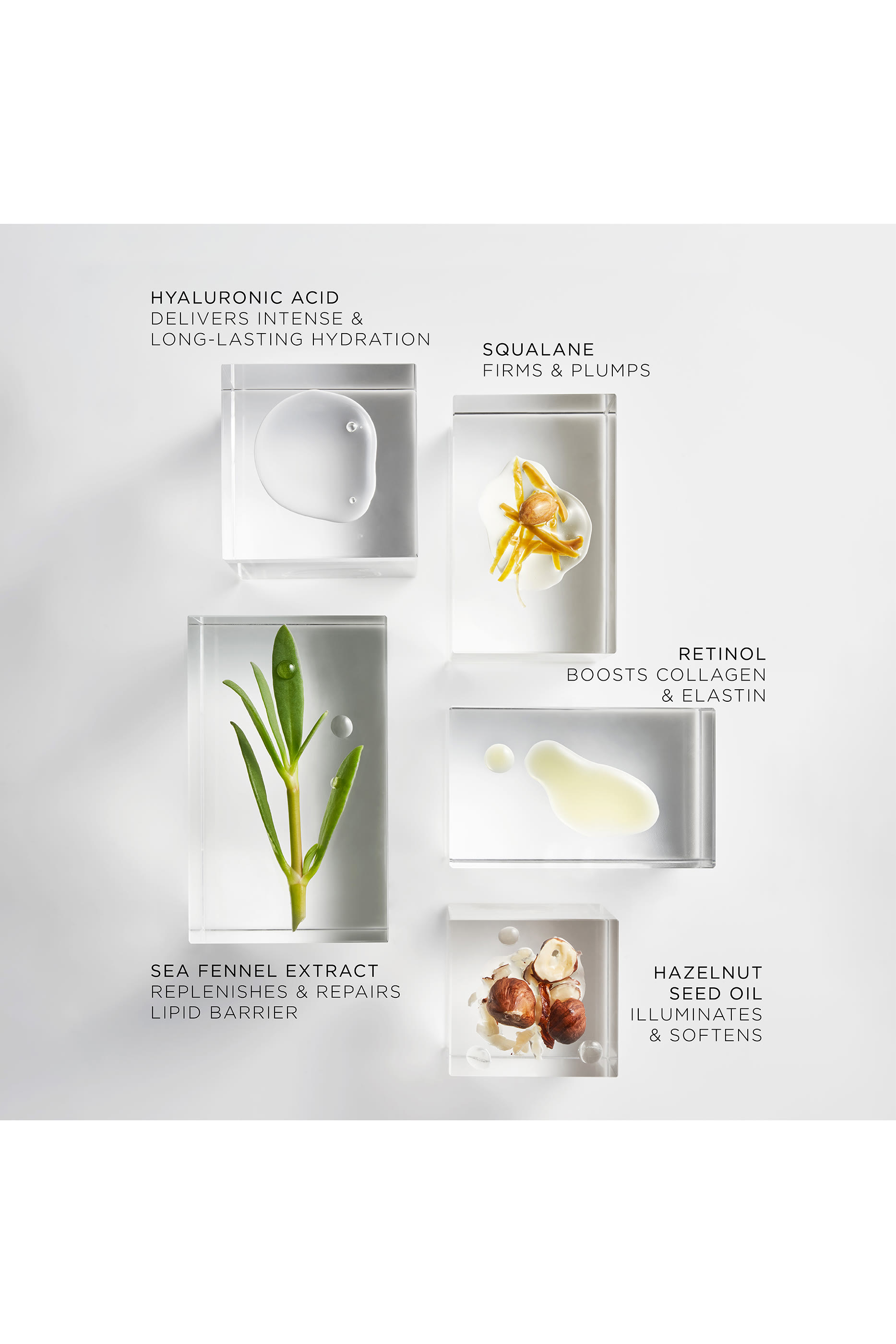 زيت ريد أبسولوت مغذي لشد البشرة بإصدار محدود