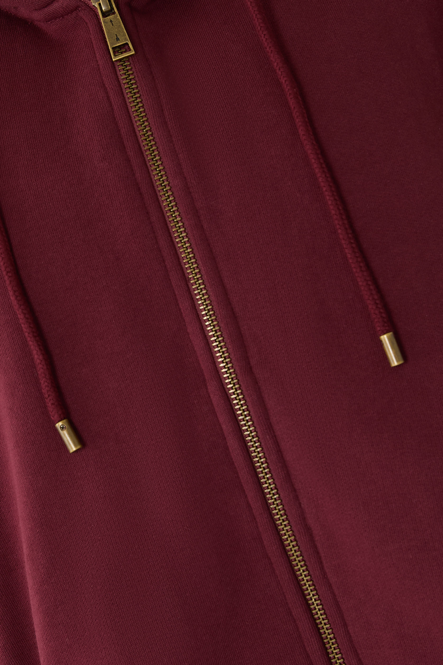 هودي رايدر جود قصير