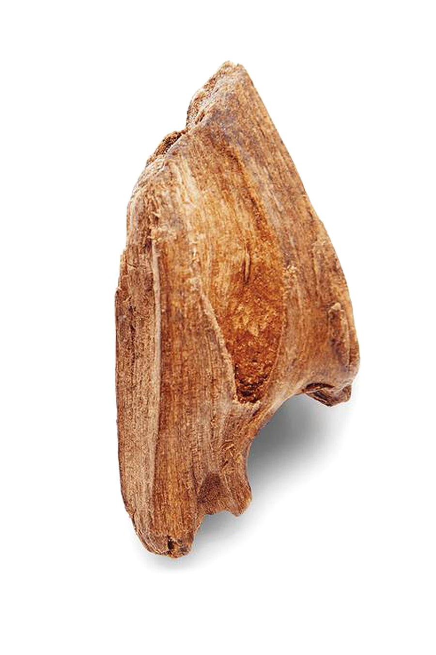 ماء تواليت كود