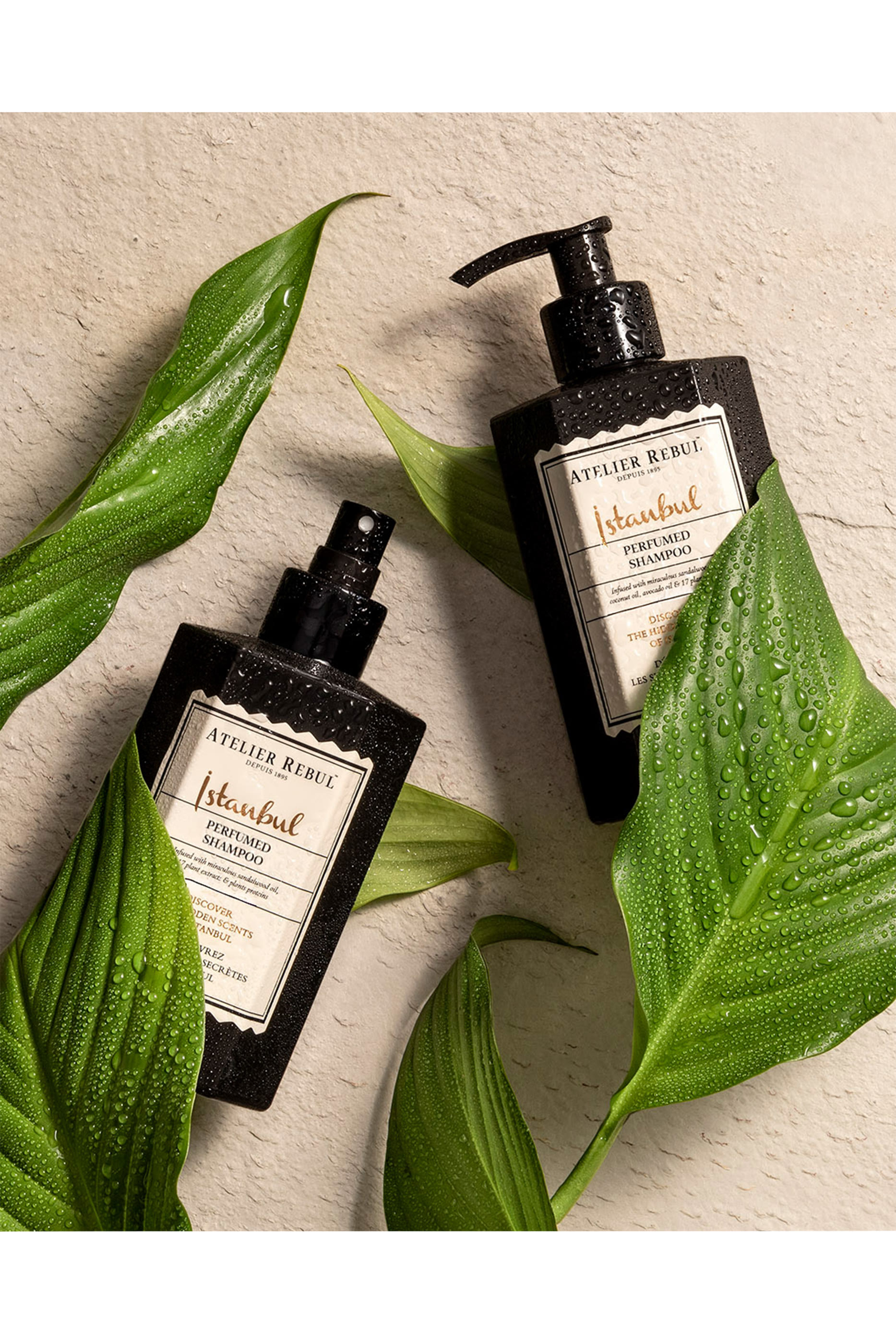 شامبو إسطنبول معطر