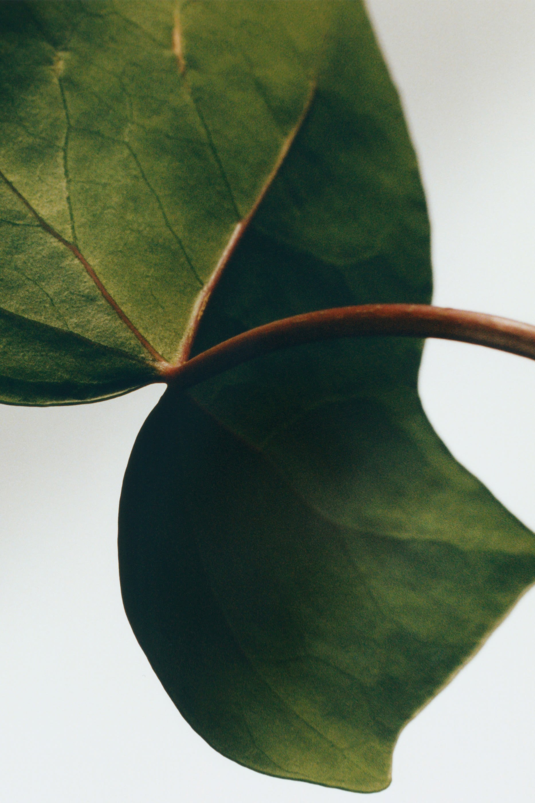 شمعة آيفي معطرة بتصميم حامل شموع