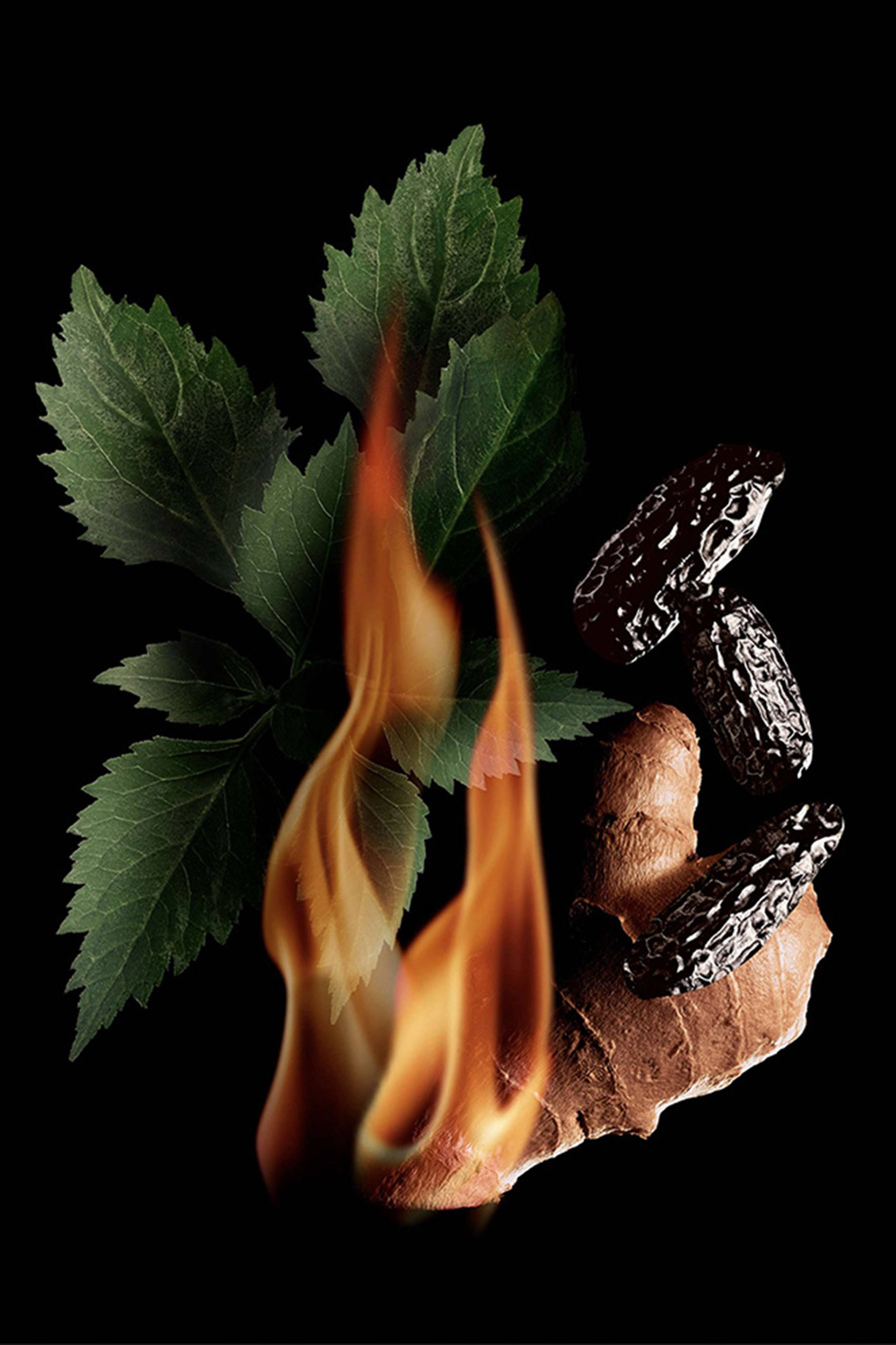 أو دو بارفان باد بوي اكستريم