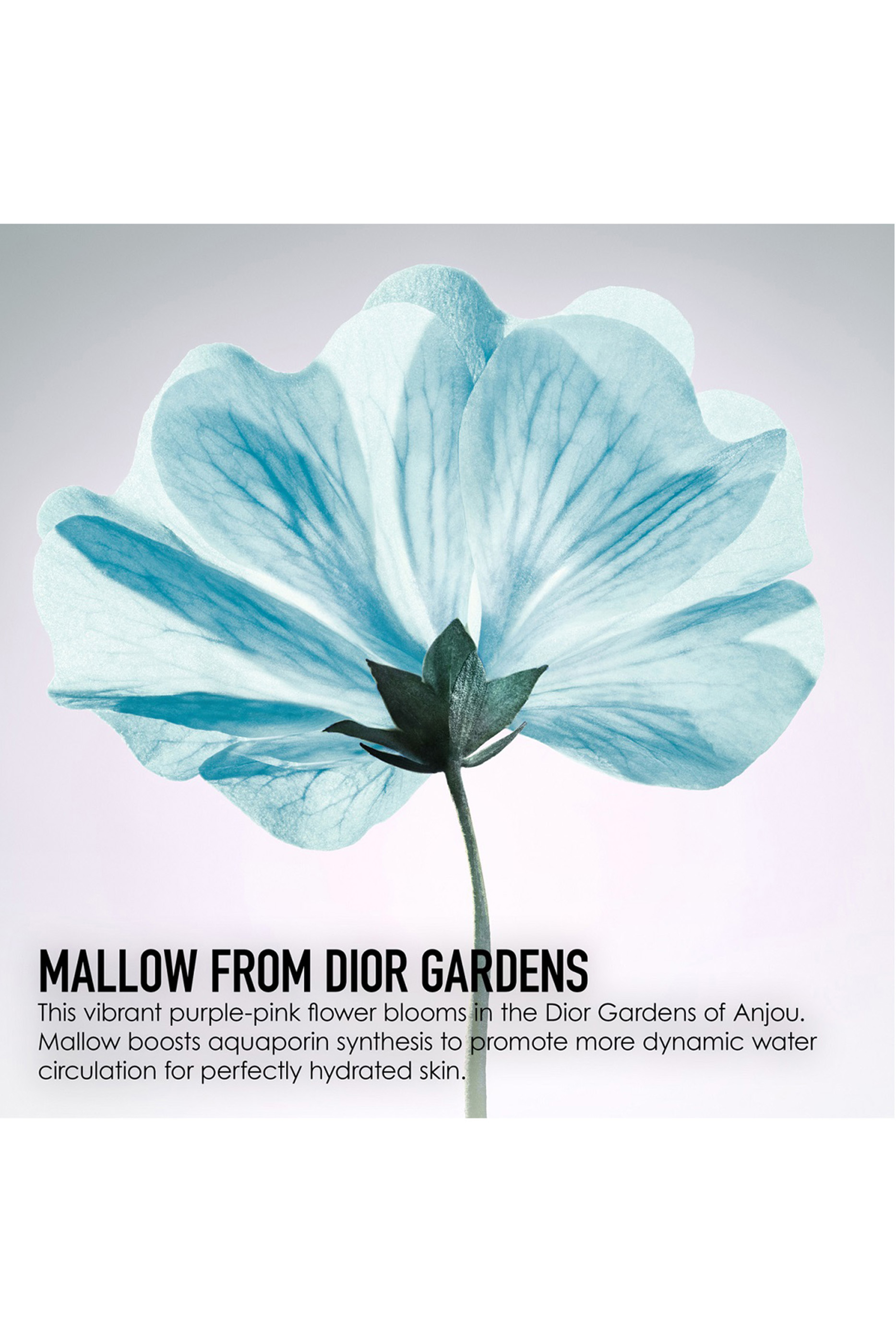 بخاخ ماء ديور هيدرا لايف لإنعاش البشرة