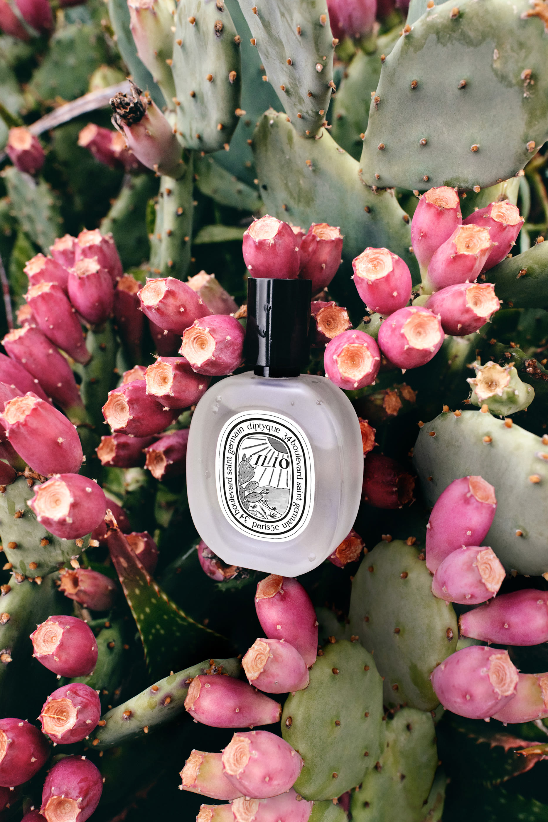 بخاخ شعر إليو