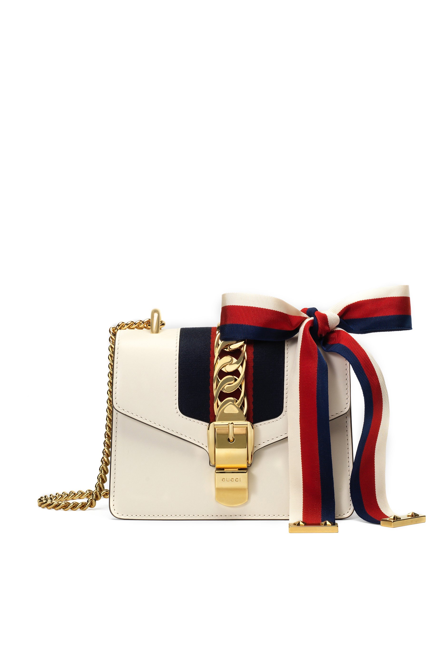 حقيبة سيلفي