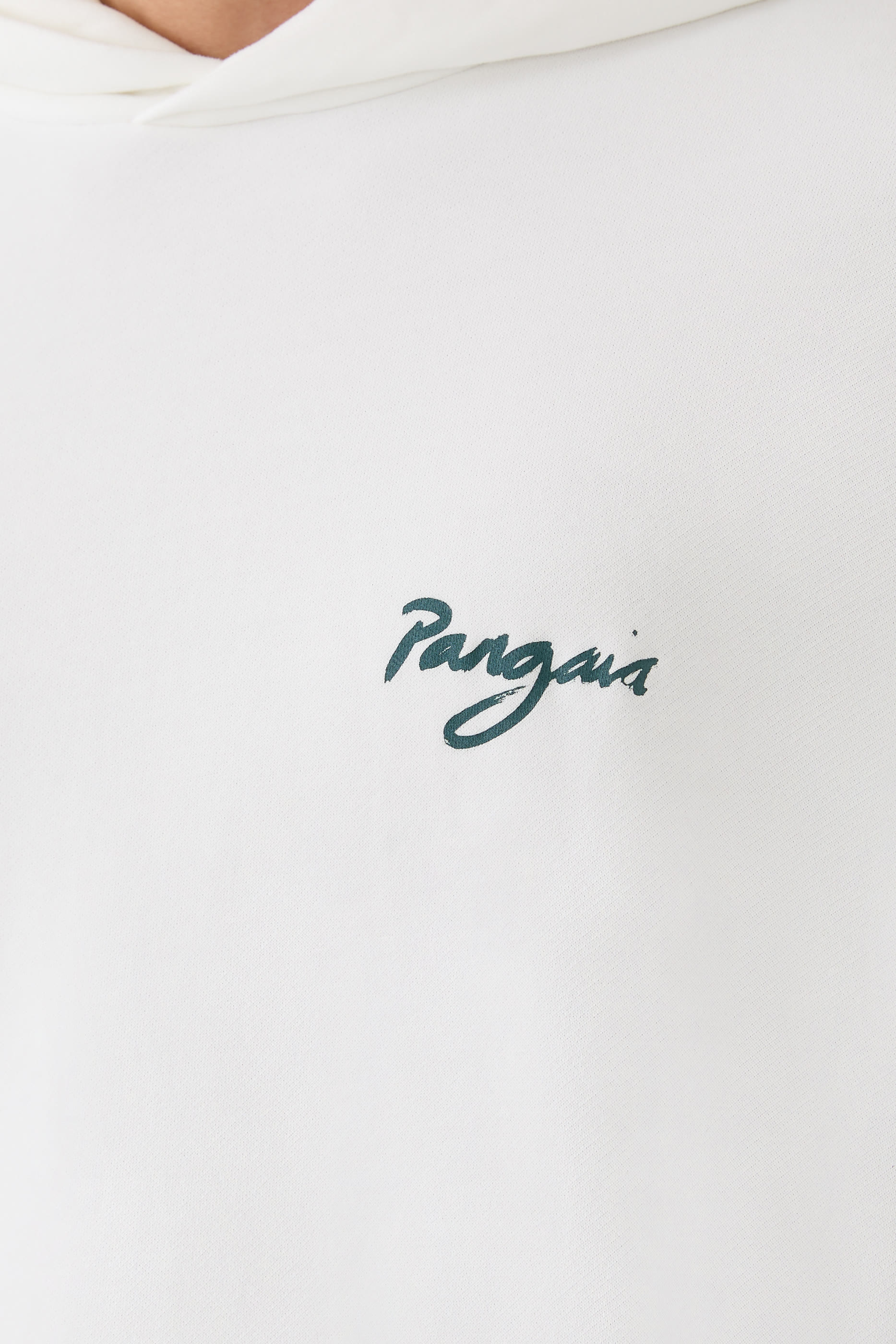 هودي وان فوريست غرافيك