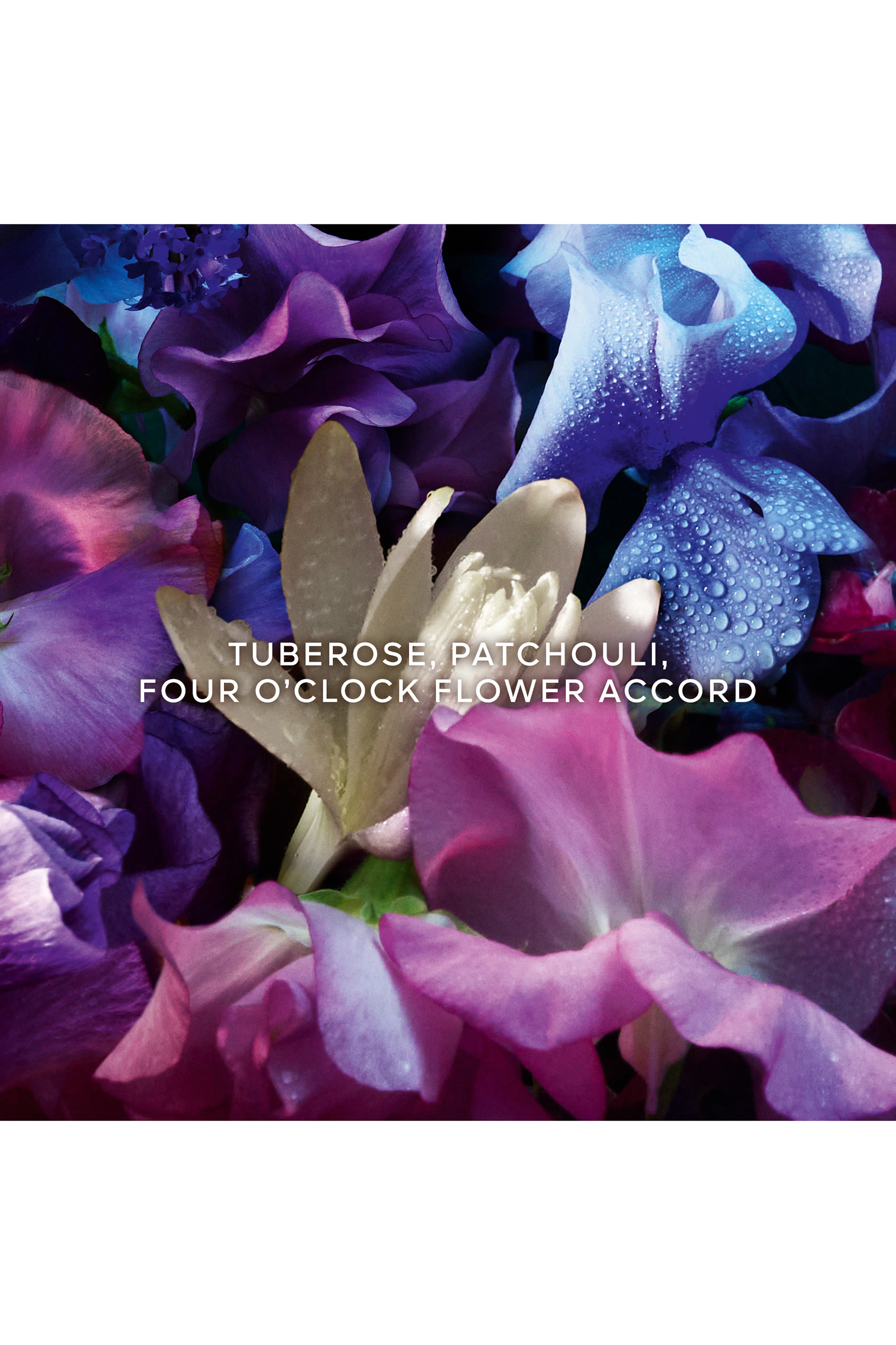 مجموعة هدايا أو دو بارفان أكوا أليغوريا فورتي فلورابلوم للكريسماس