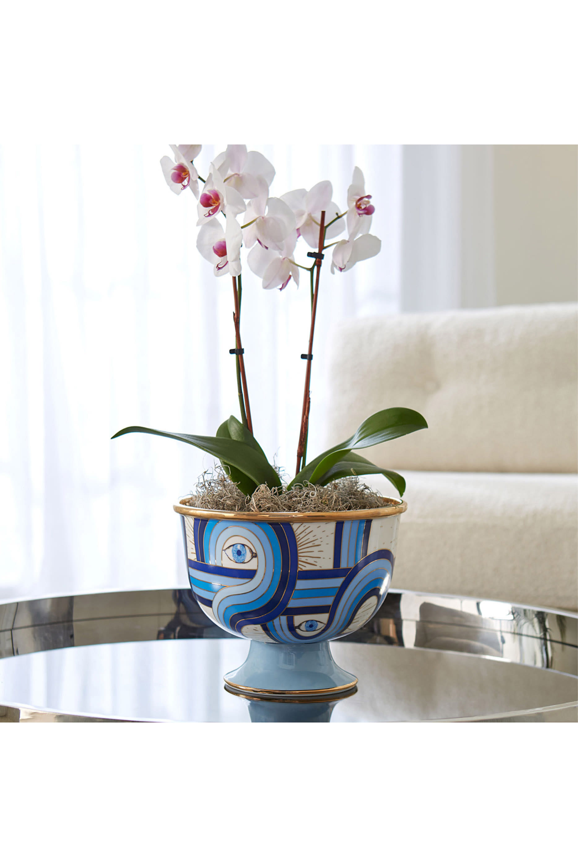 وعاء دراجيست كبير