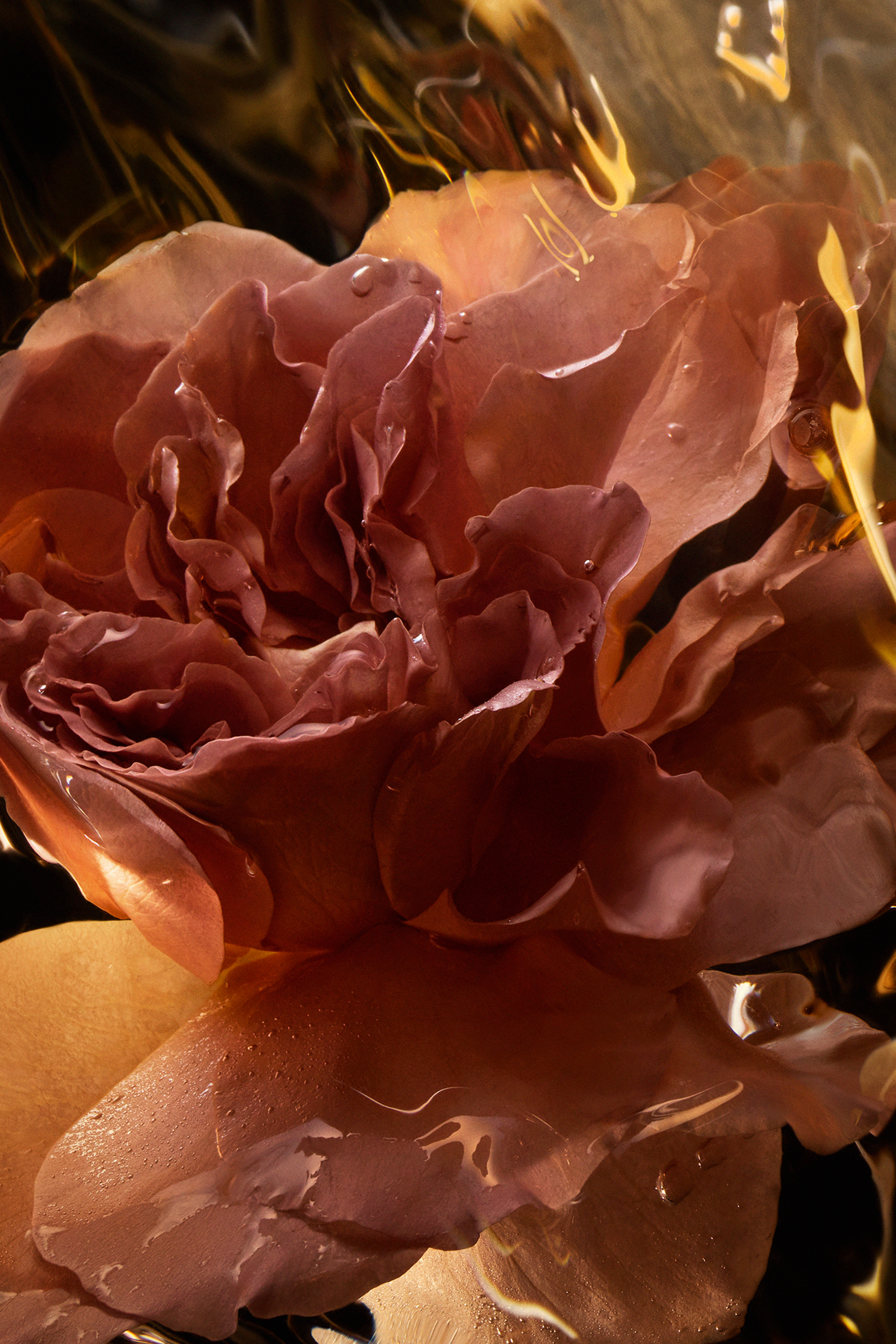 أو دو بارفان سانتال رويال