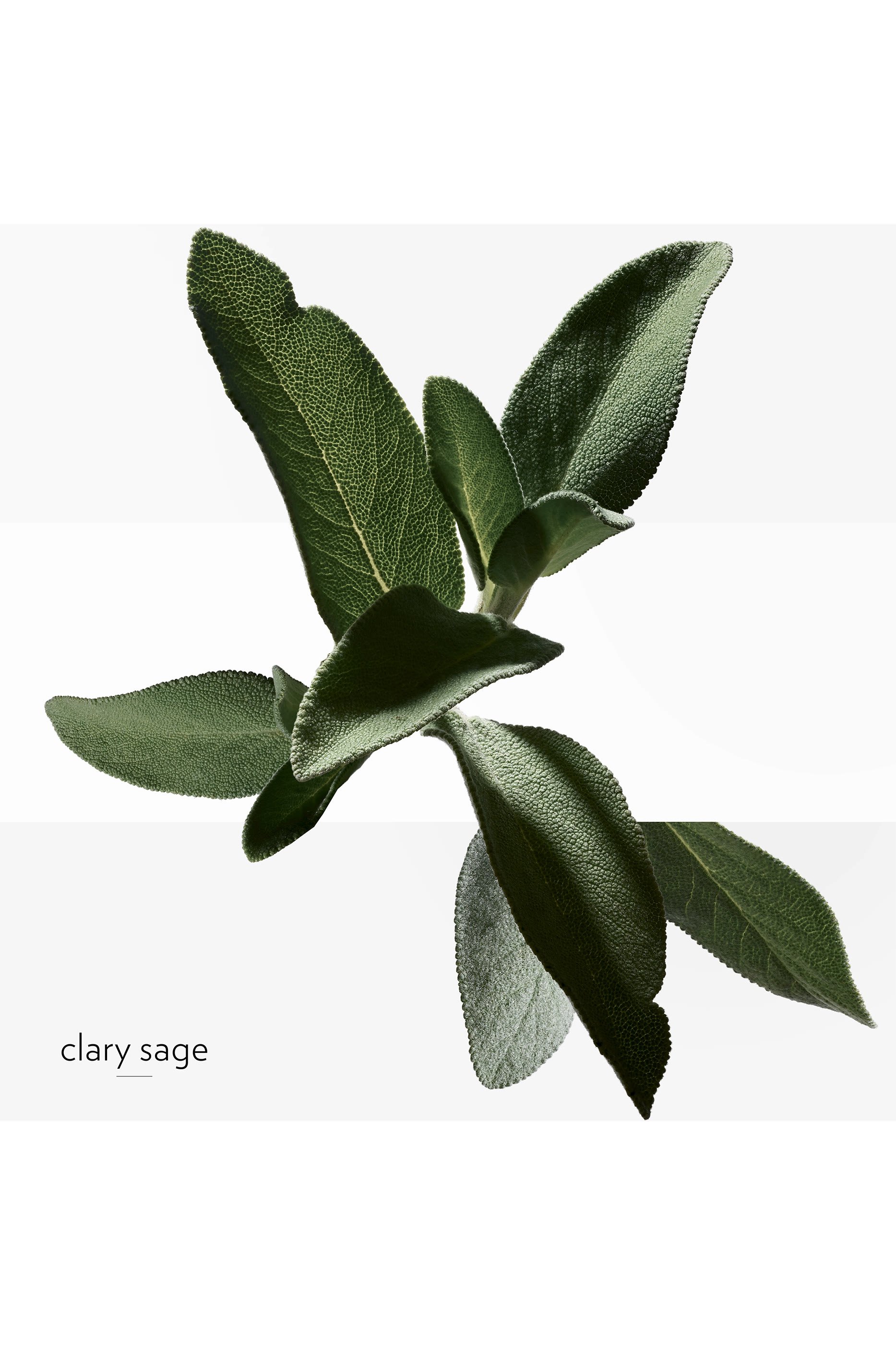 بخاخ الوجه H24 منعش ومقاوم للتلوث