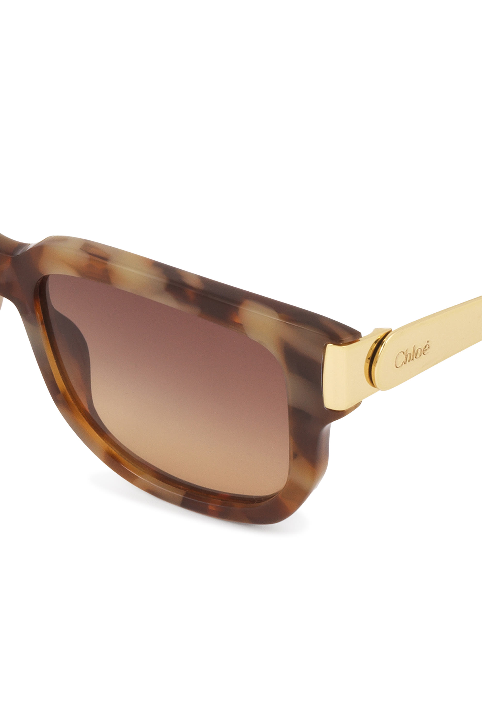 نظارة هولي شمسية