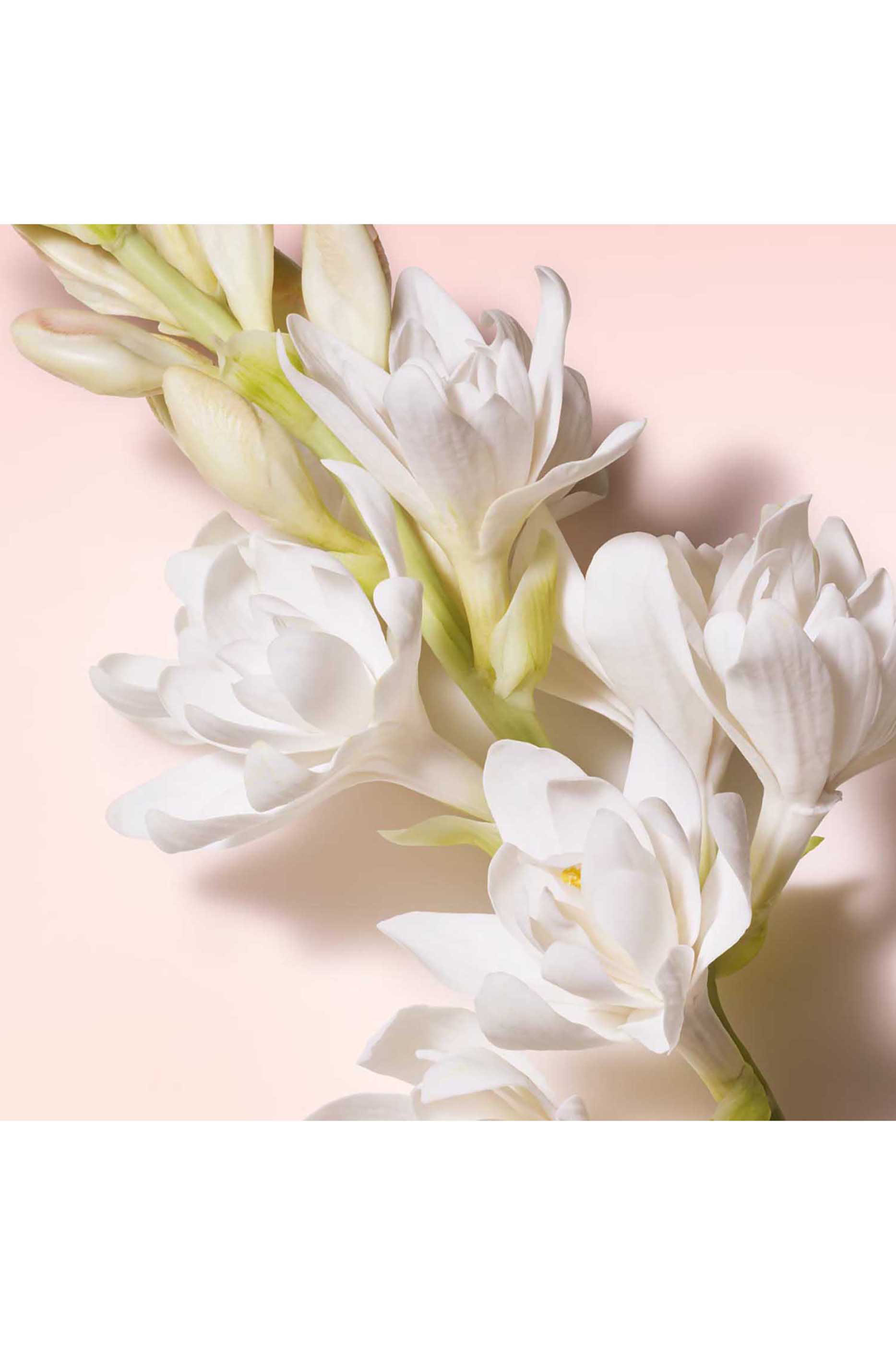 أو دو بارفان ماي واي صني فانيلا